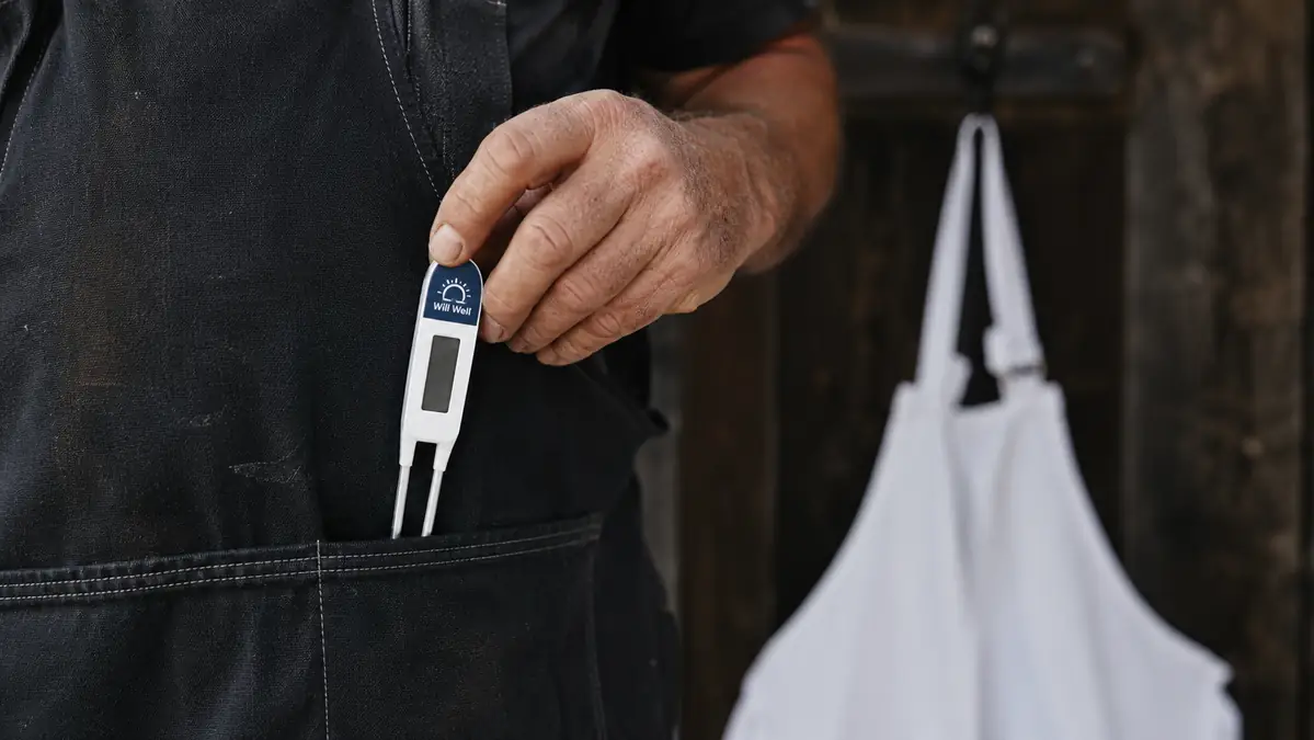 A hand pulling an instant-read thermometer from the front pocket of a black Will Well apron while a plain apron hangs empty on a hook behind